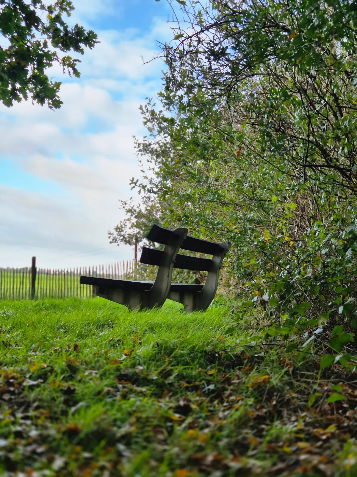 Bankje bij de IJsclub Wapserveen