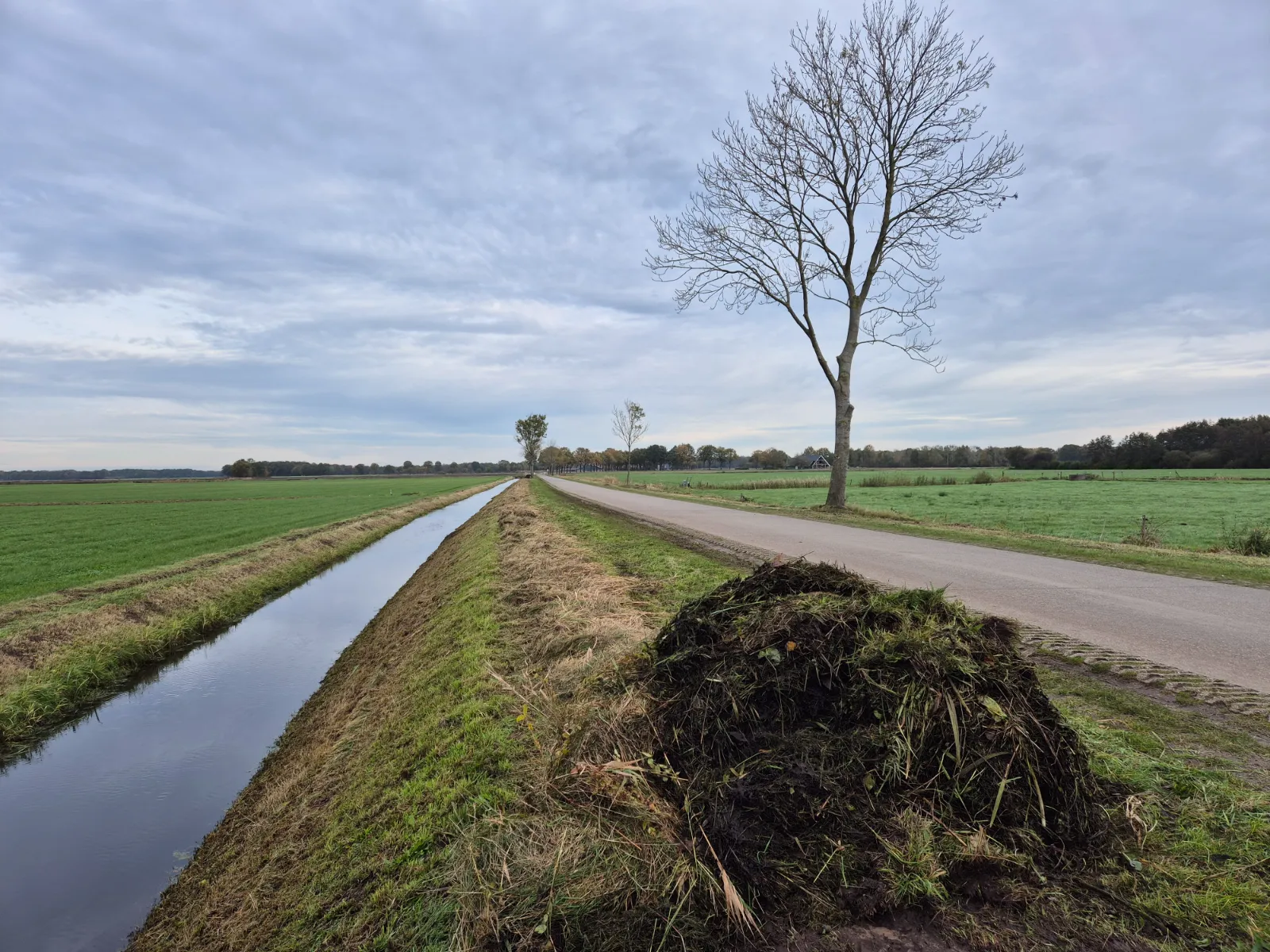 2025 10 31 Beheer sloten en wegen langs openbare wegen - Foto door Ellen